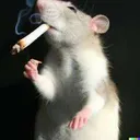 smokingrat