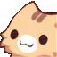 catpat