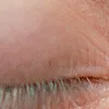 2049EYE2
