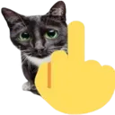flipoff