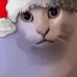 ayyybuHUHHX