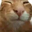 ayyybuBuh
