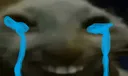 xddcry