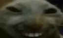 xdd