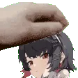 EllenPats EllenPats
