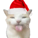 christmas_tongue_cat