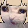 shirosob