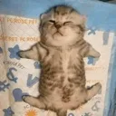 jeongin_sleep