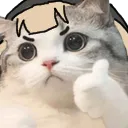 shiroangereyes
