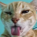 bleh bleh