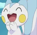 pachi