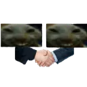 xddmyman xddmyman