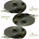xddwtfbruh