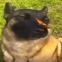 Screenshot_20231119220536883_com