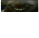 xddpeektop