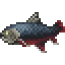 arcticChar