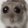 moooh