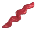 worming