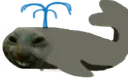 xddwhale