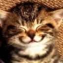 smile