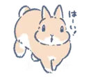 bunnyJump