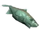 The_Fish