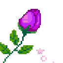 9325rosepurple
