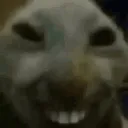 xddblindsup