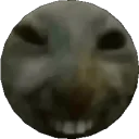 xddcirclepeek xddcirclepeek
