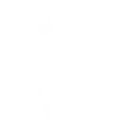 Pilot Pilot