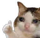 :sadcat_thumbsUp: