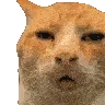 huh