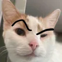 huh