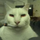 drugs