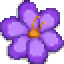 SDVcrocusteam