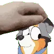 CalypsoPet