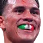 benavidez