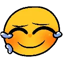 Happycry happycry Discord Emoji