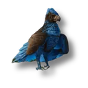 ARGY