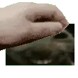 xddextremepet