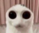 Youshouldbescared Youshouldbescared