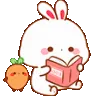 bunnyRead