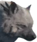 Orengall