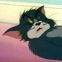 z_ha custom emote - Lemniscate Network