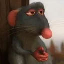 RationalRatatouille