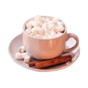 r_br_hotcoco1