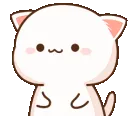 belly