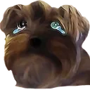 BBSad