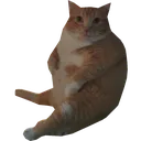 fatty
