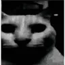 catDespair